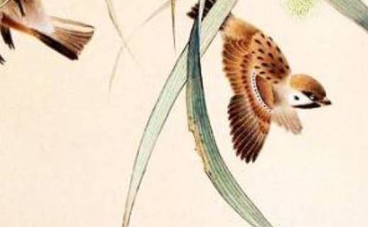 手机号码尾数是3欠好 富有吉利的手机尾号引荐