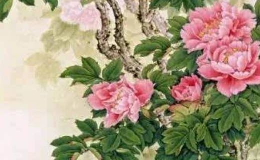 属牛手机财气尾号 招财进宝的手机号码挑选