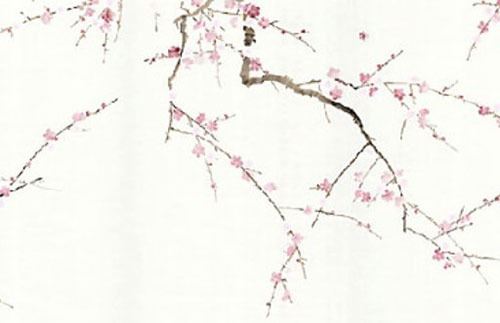 车牌号真的有凶和吉吗,欠好的车牌号有哪些