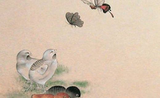 属虎人用什么数字的号码最好 好运持久旺属相虎的数组