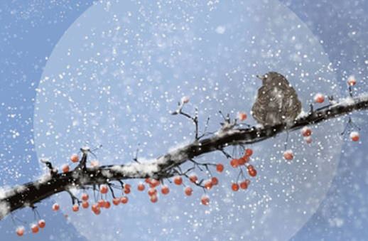 数字能量学吉凶标志,共同大吉的手机靓号数组