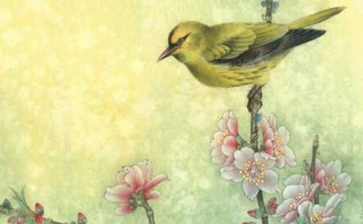 天医手机号68和86差异 富有发财的手机号码引荐