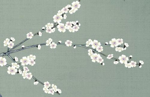 最好车商标是什么数字 轿车商标什么数字好