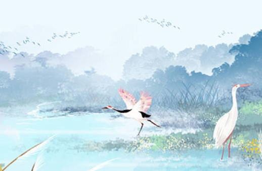 延年加延年数字磁场吉凶 旺运吉利的手机号码