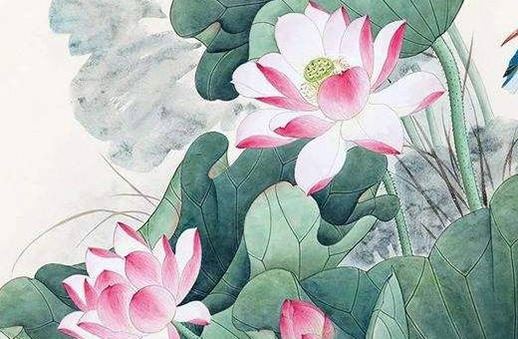 易经数字文明,数字能量学吉利号码