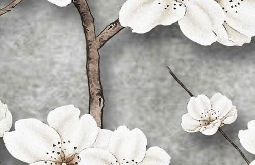 车牌号带T字母的好不好,涵义催旺车主财气