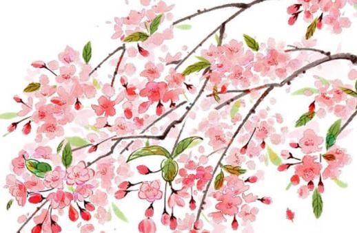 属木的号码有哪几个 五行属木吉利顺口的手机号