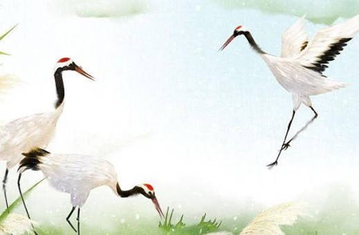 五行缺水手机号,盘点富有聚财的属水尾号