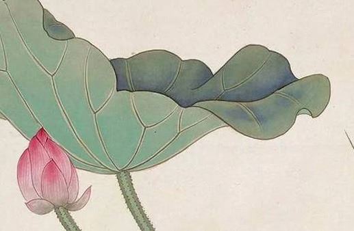 测手机尾数后四位测吉凶 磁场吉祥的数组