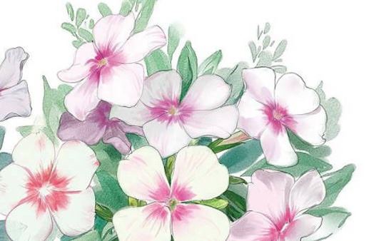 吉祥手机号码大全,好的号码引荐