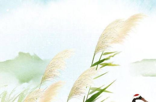 奇门手机号最旺财的尾数,五行怎么选手机尾号