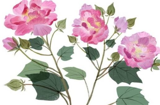 手机能量号组合最佳号码有絕命吗,手机号码挑选的忌讳