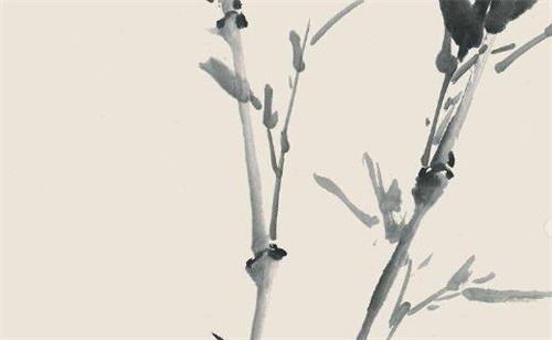 手机号码磁场怎样组合最好 数字能量最佳组合