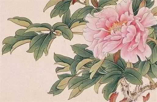 手机号8688什么意思  促进感情上的开展