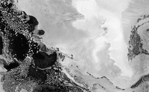 生辰八字手机号码测算：丁卯年出世的人用什么手机数字组合最吉祥