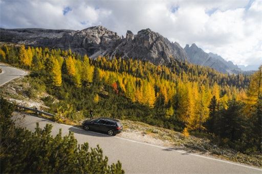 八字算车牌吉凶：甲戌年出世车牌号码测验打分吉祥招财