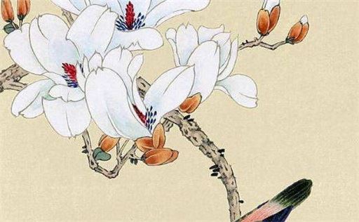 手机号尾号带8好不好 手机号绝对不能带0和5吗?