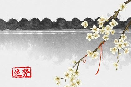 吉祥车牌号字母和数字 车牌号字母最吉祥组合