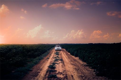 车牌号码442好不好  四大皆空之意晦气开展