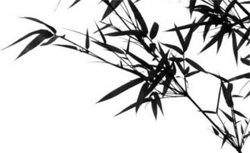 手机靓号测验吉凶 手机尾号8888888