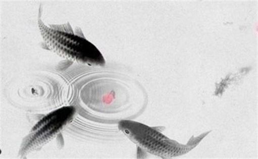 怎么挑选手机吉祥号 4848这个数字吉祥吗