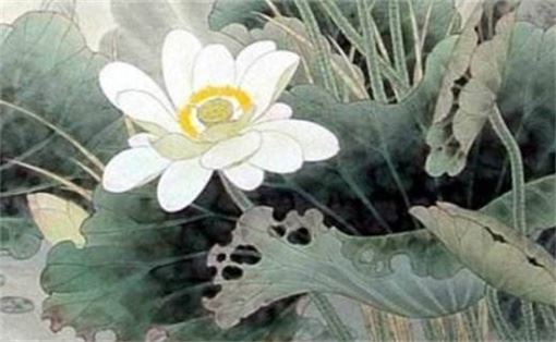 手机号磁场吉利数字 手机号查吉利号码尾号2878