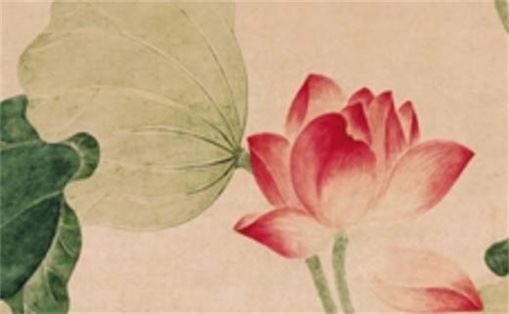 手机尾号5505吉凶 手机尾号5505涵义是什么