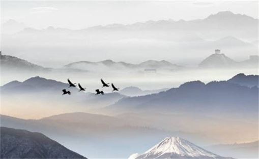 手机号5505好不好 涵义招财旺运的手机号码