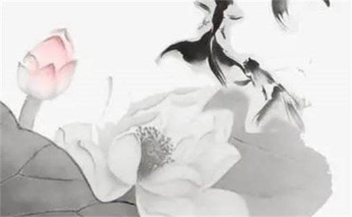 豹子号5555手机号值多少钱 手机号1111仍是5555好