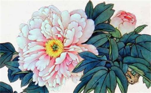 属马财气最旺手机尾号 属马的人怎样选手机号