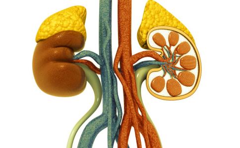 尿毒症患者饮食