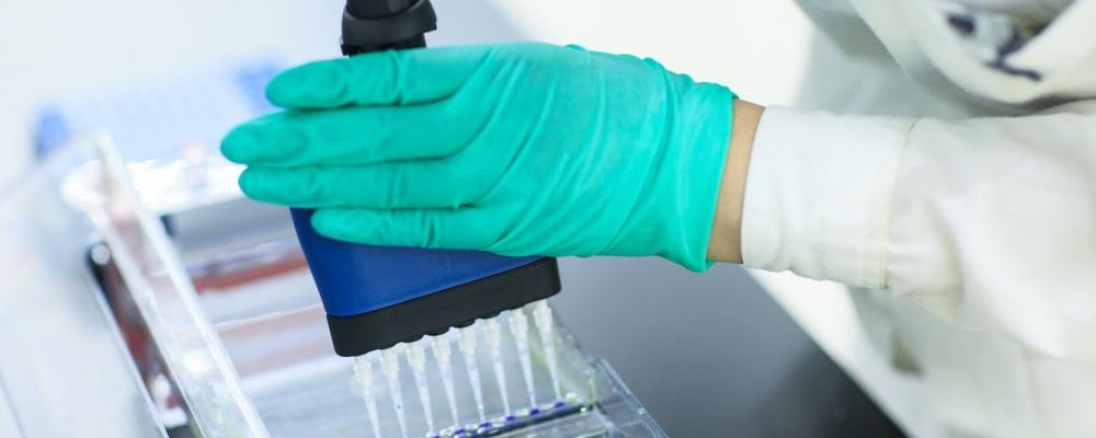 常吃苹果可防备癌症