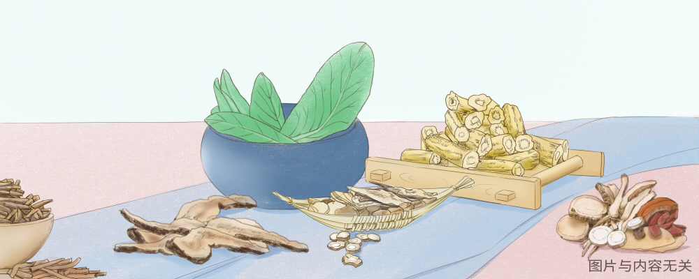 山白果的成效与效果