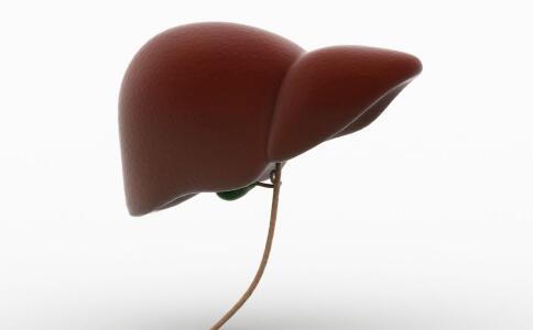 防备肝癌能够吃哪些食物