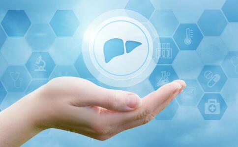 哪些食物合适丙肝患者吃