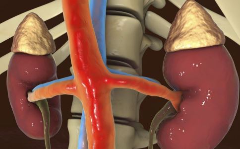 补肾的食物 吃牡蛎能够补肾吗