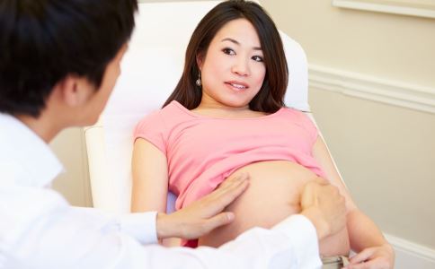 怀孕期间孕妈妈能够喝菊花茶