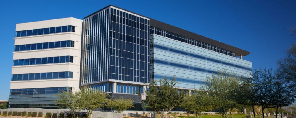 抗癌中药茯苓的成效与效果