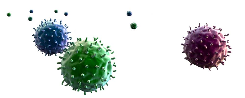 抗癌中草药三尖杉的成效