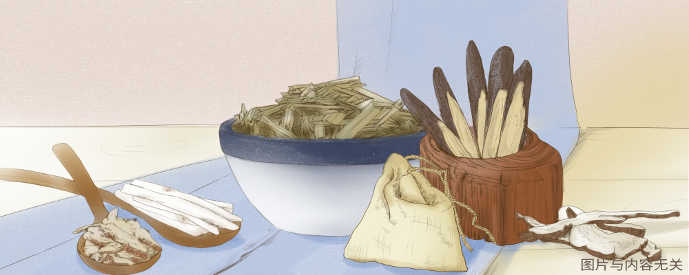 广东升麻的成效与效果