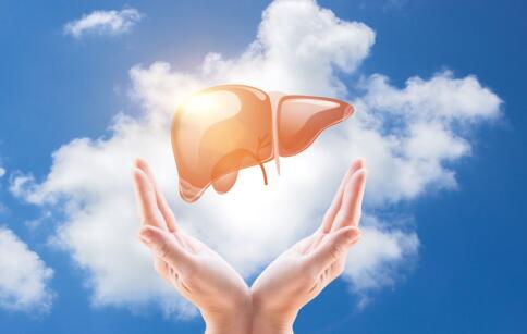 保养肝脏该怎么饮食