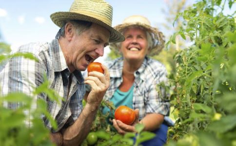 白叟茹素对身体有什么优点