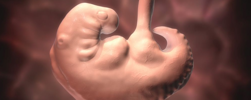 胎停育最显着的4个预兆 胎停育了还能抢救吗