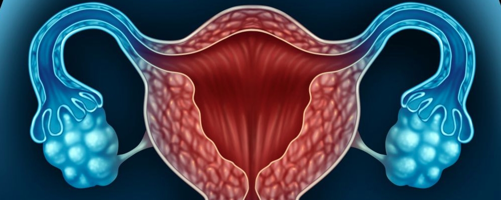 卵泡发育不成熟是什么原因形成的