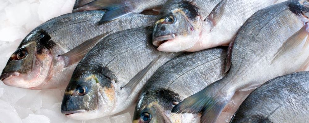 冷冻鱼，科学保鲜，甘旨保养分！