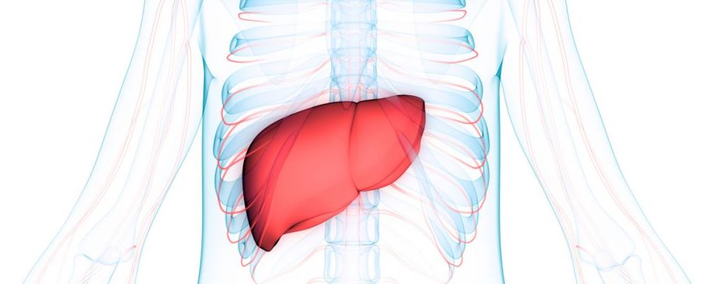中度脂肪肝怎样降下来