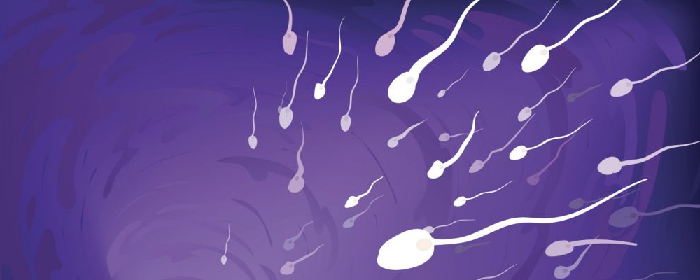 可以进步男性精子活性的食物有哪些