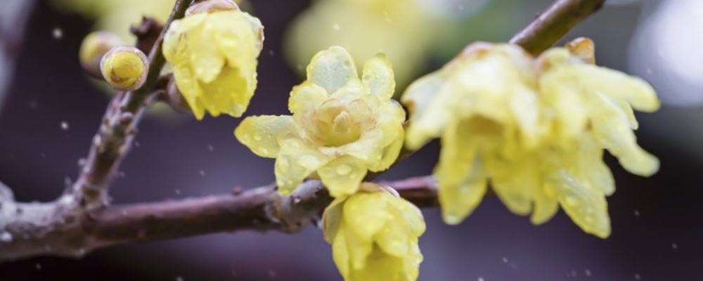 入秋之期怎么摄生不伤身