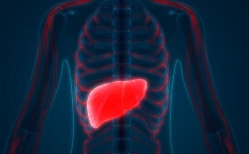 肝癌和饮食有什么关系