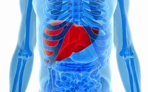 常喝酒怎么护肝